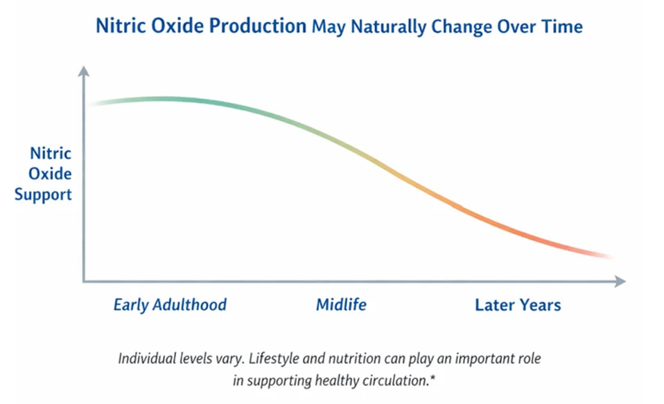 Nitric oxide production declines with age
